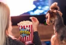 7 filmes que derretem o coração de quem ama animais para você assistir