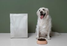 Ração Grain Free: 5 pontos que vão fazer você repensar a escolha do alimento para o pet Ração 'Grain Free' elimina grãos e foca na nutrição específica de pets (Foto: Freepik)