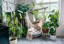 Como usar plantas para transformar sua casa em uma Urban Jungle (Foto: Freepik)