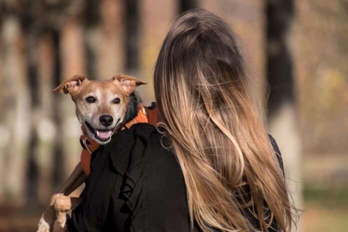 Conviver com animais de estimação gera bem-estar, segundo pesquisas globais (Foto: Rebecca Scholz/Pixabay)