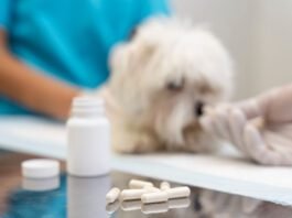 Medicamentos manipulados flavorizados podem transformar o tratamento em uma experiência positiva (Foto: Freepik)